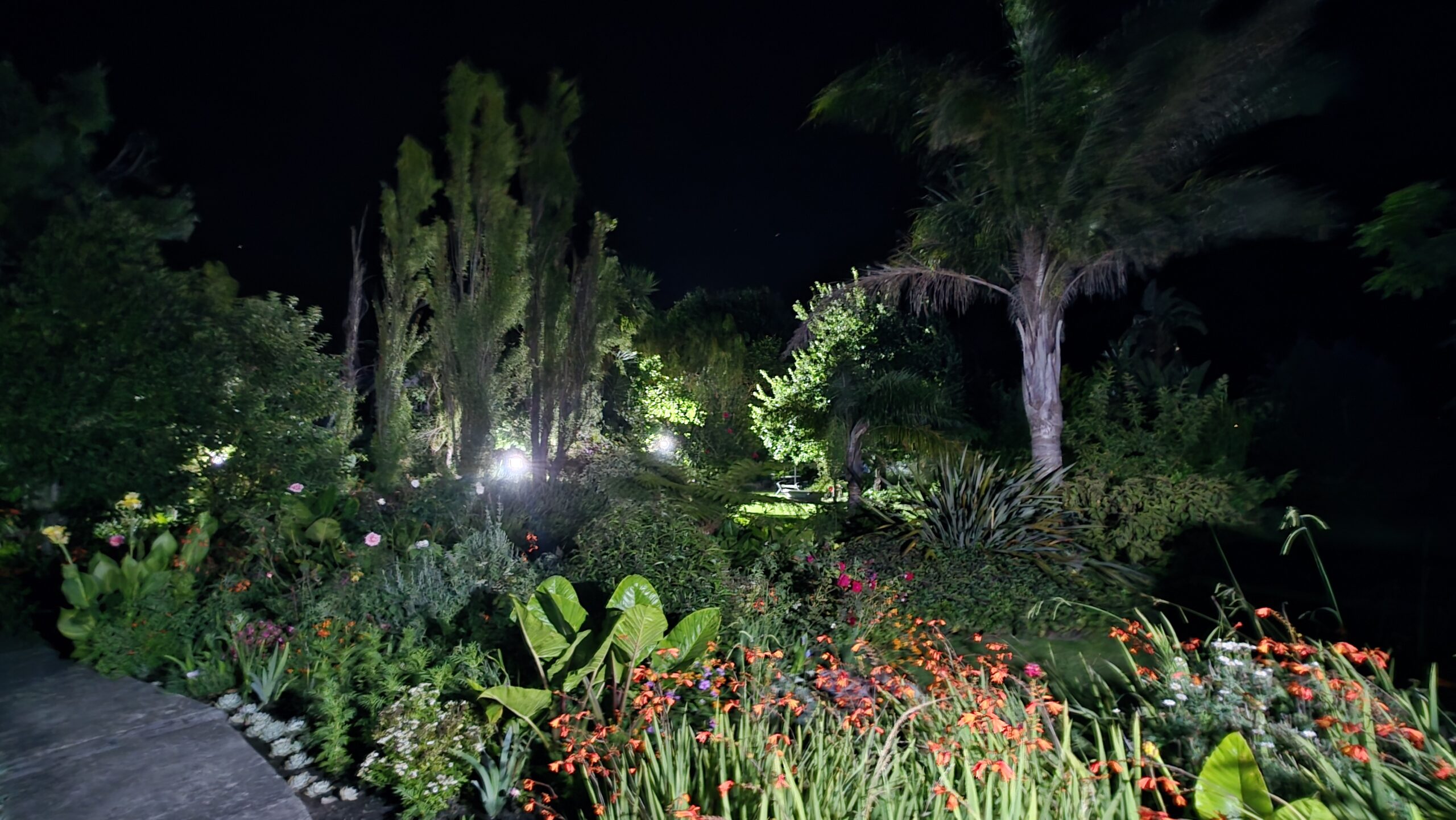 Tsitsikamma Gardens Tsitsikamma Gardens